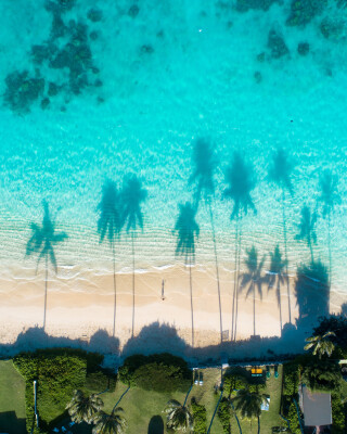 Dronefoto van de weerspiegelingen van de palmbomen in het turquoise water van de zee