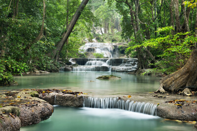 Waterval in het bos