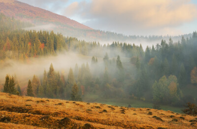 Foggy Morning - Mistige ochtend in de herfst